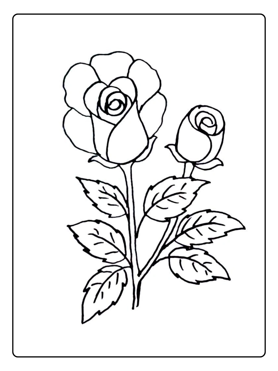 desenho de rosa para colorir (12)