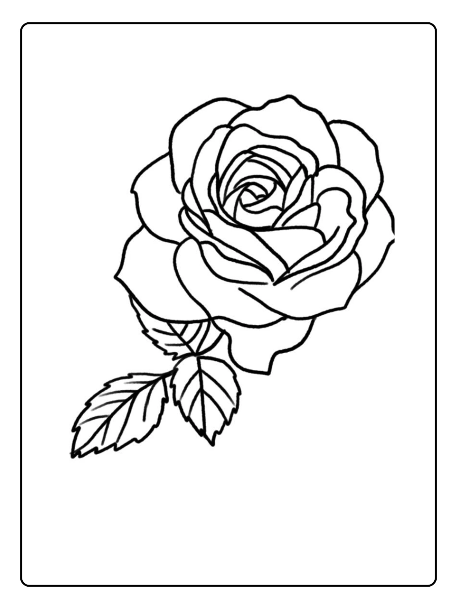 desenho de rosa para colorir (13)