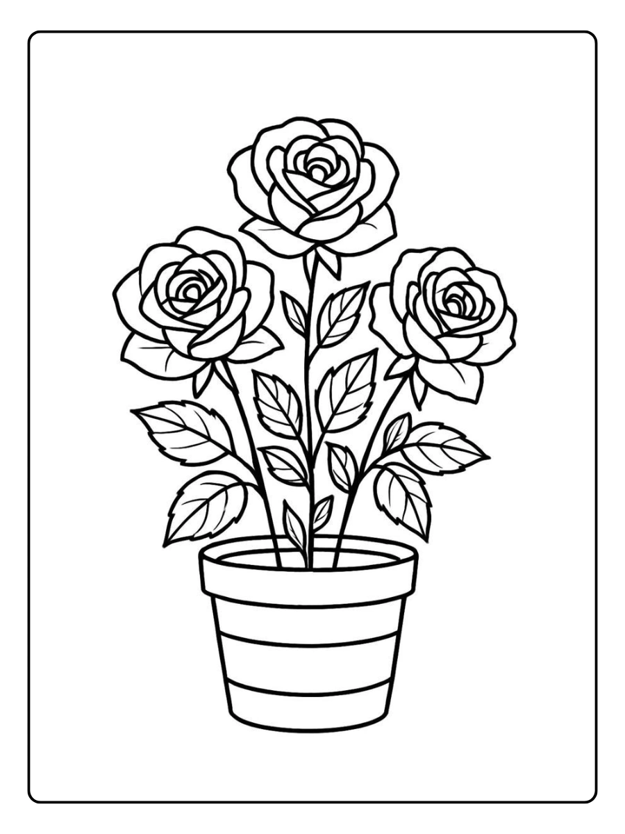 desenho de rosa para colorir (6)