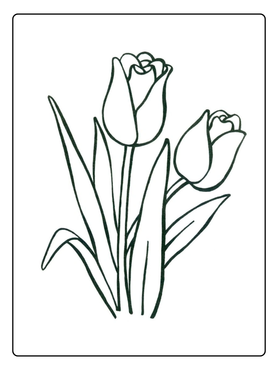 desenho de tulipa para colorir (5)