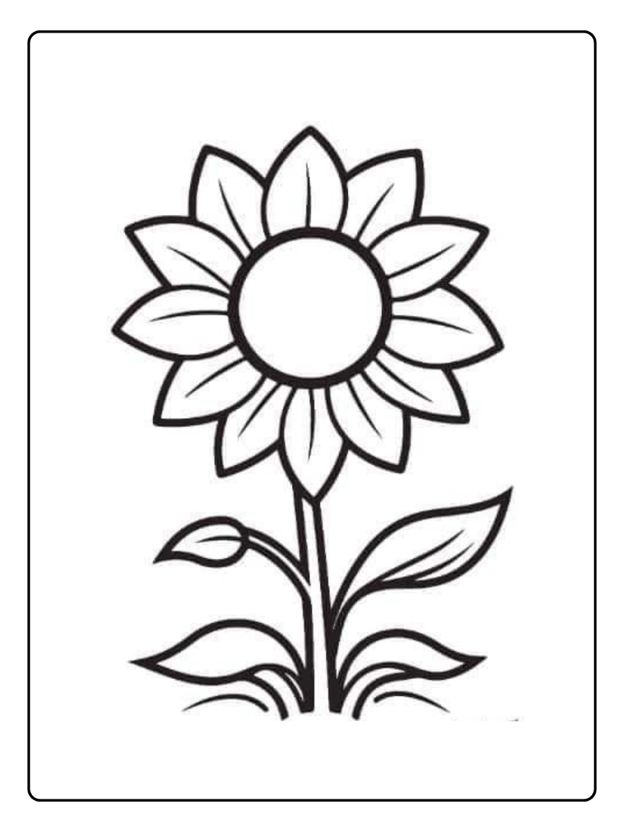 desenho de um girassol para colorir (15)