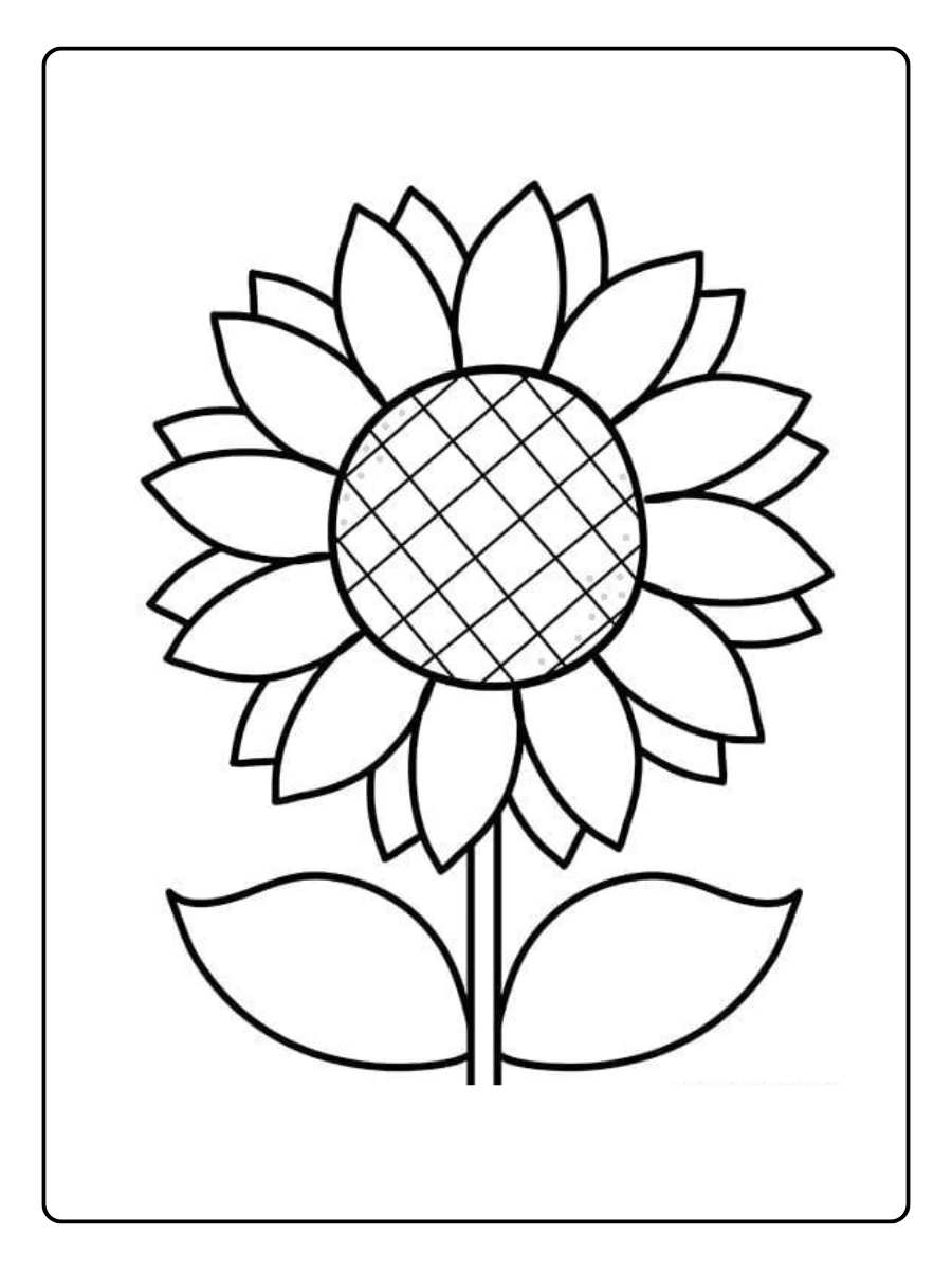 desenho de um girassol para colorir (3)