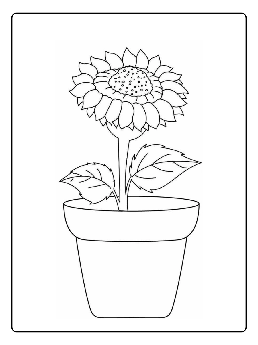 desenho de um girassol para colorir (7)