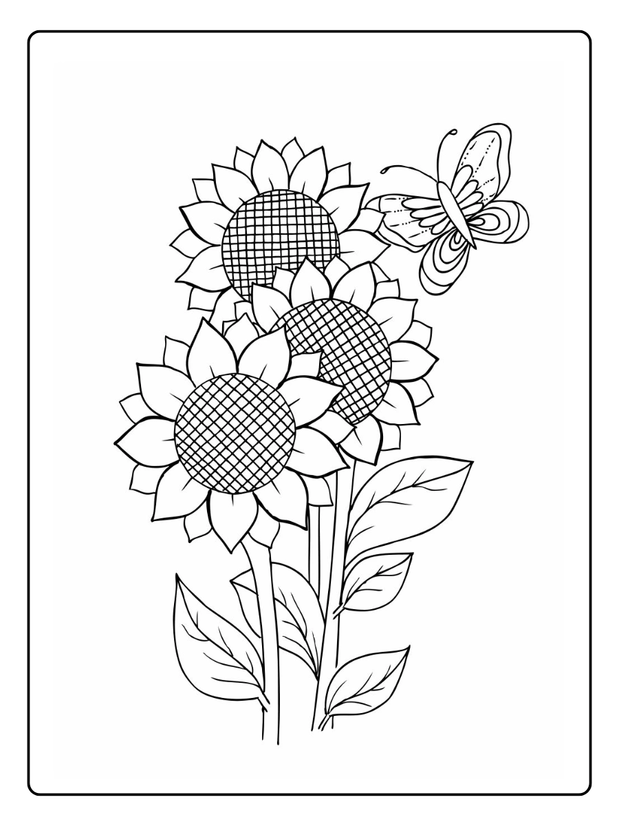 desenho de um girassol para colorir (8)