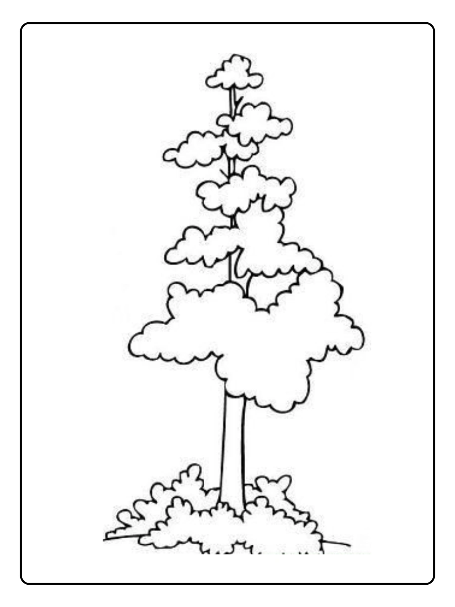 desenhos de arvores para colorir (14)