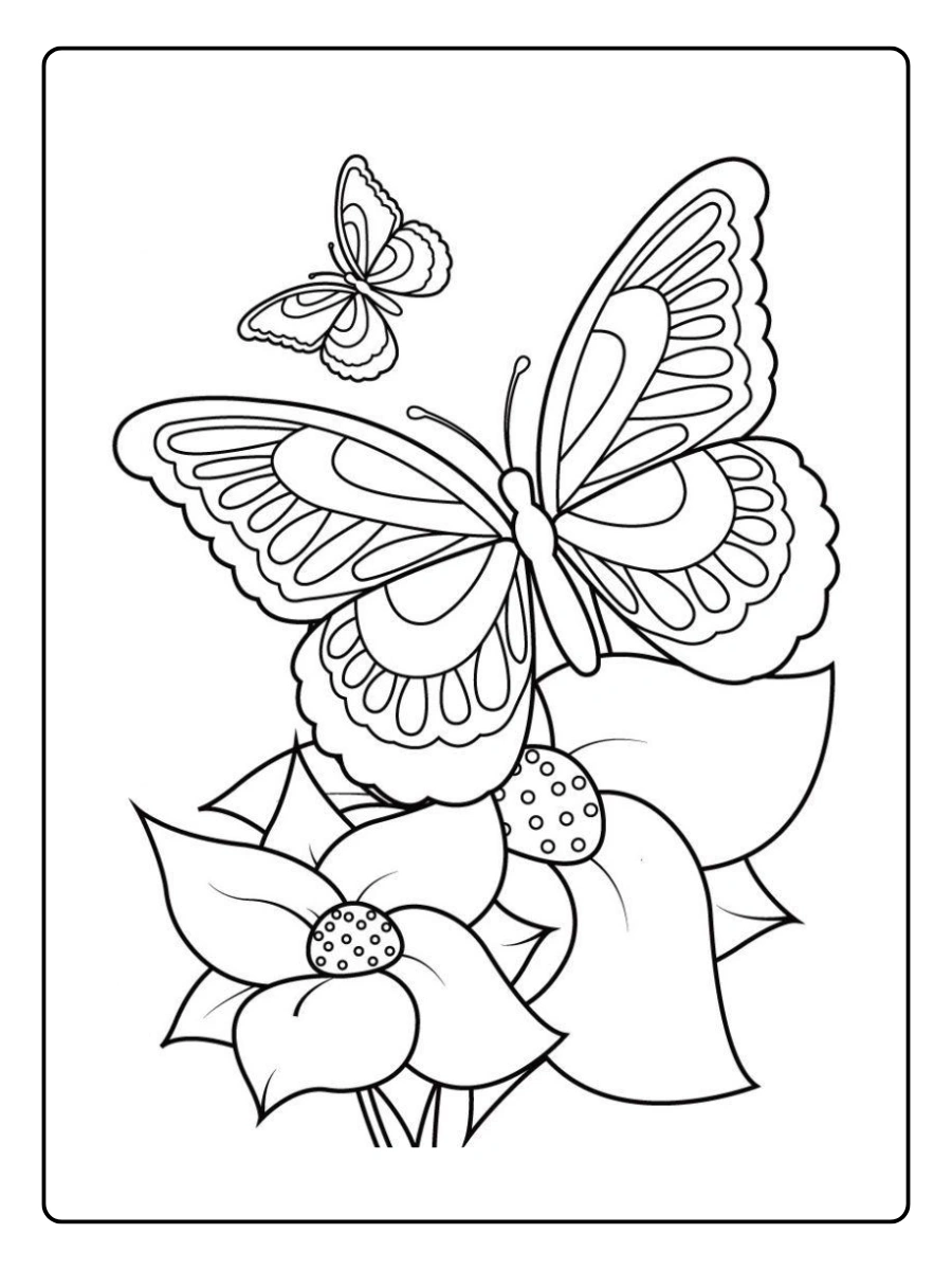 desenhos para colorir flores e borboletas (12)