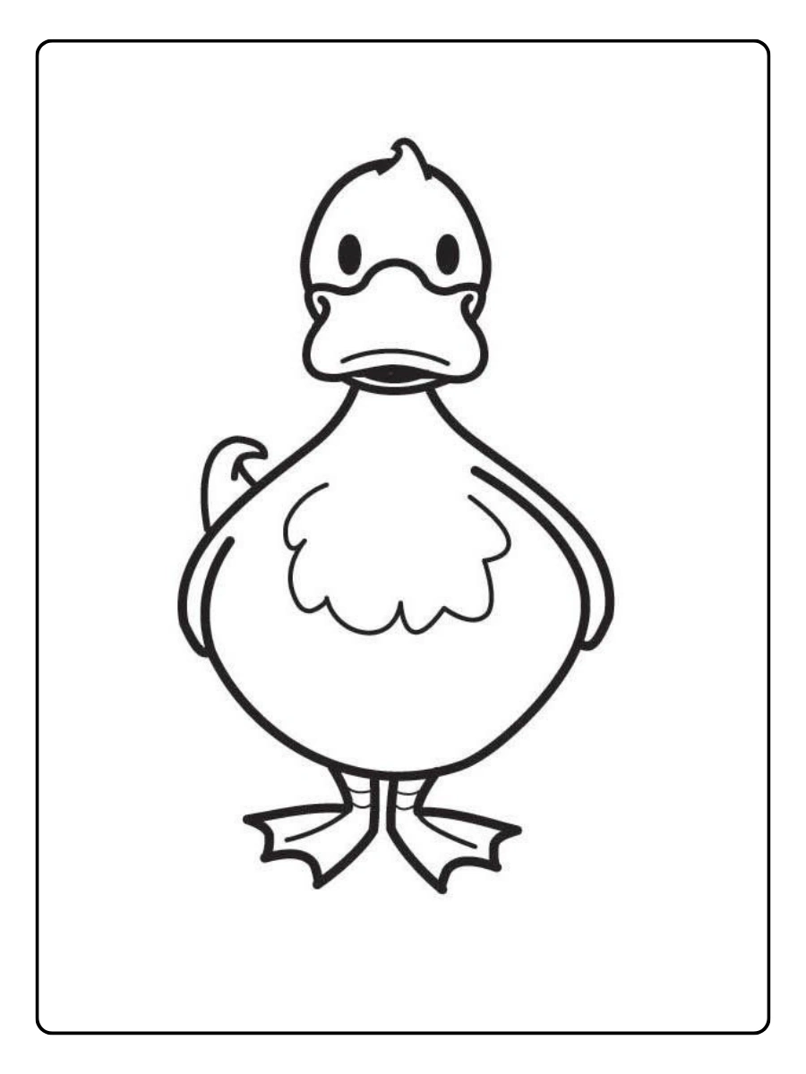 desenho de pato para colorir (2)