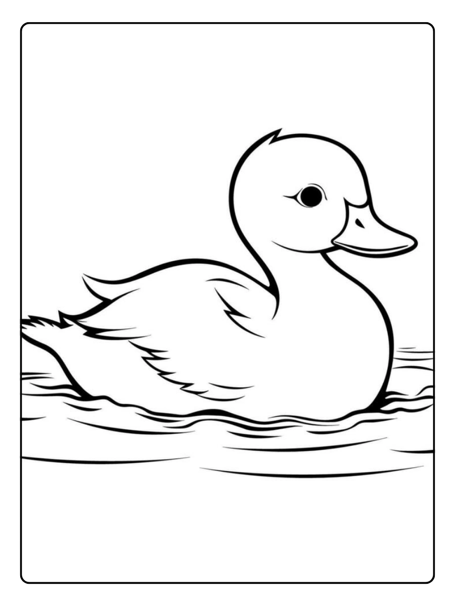 desenho de pato para colorir