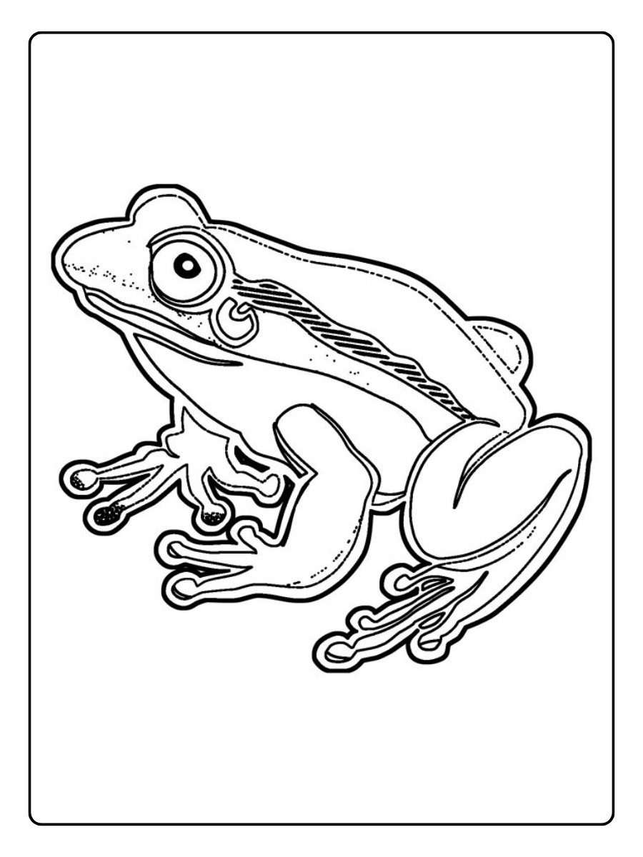 desenho de sapo para colorir (13)