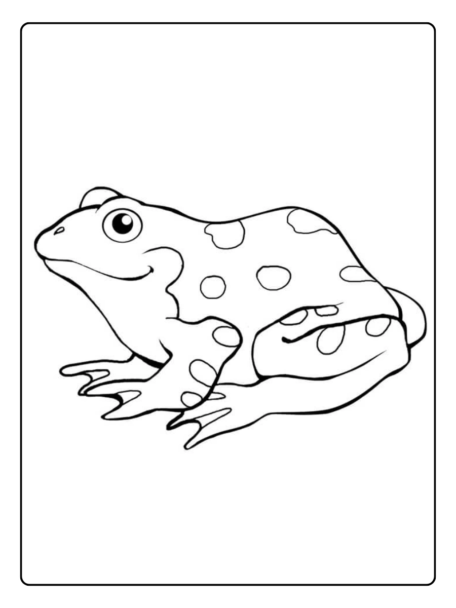 desenho de sapo para colorir (15)