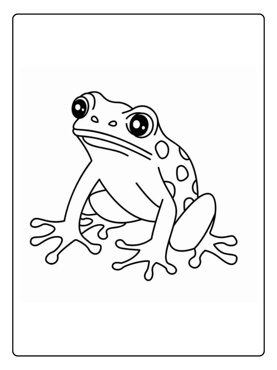 desenho de sapo para colorir